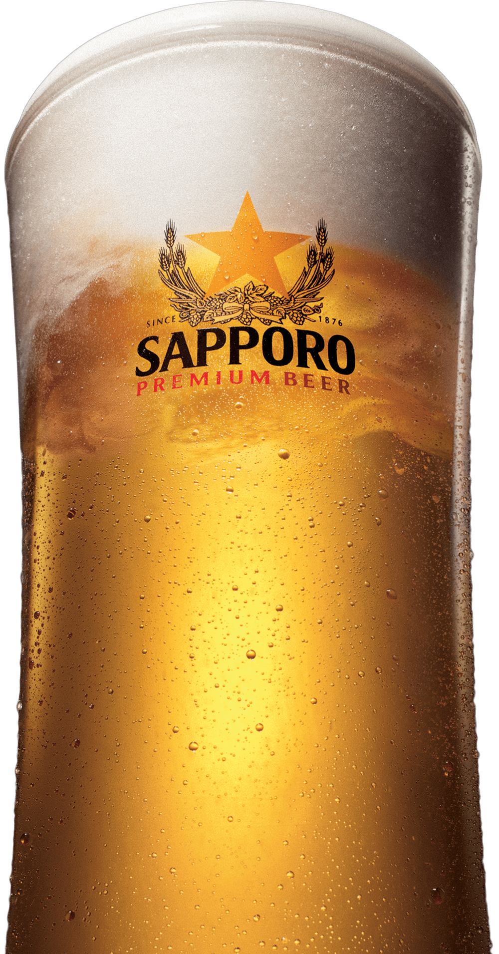 cny home banner beer asset1